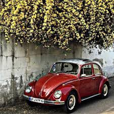 Volkswagen Classic Cars Drawings Volkswagonclassiccars Volkswagen Beetle Vintage Vintage Volkswagen Car Volkswagen