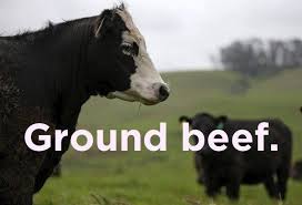 21 Jokes So Stupid They Re Actually Funny Silly Jokes Stupid Jokes Animal Jokes
