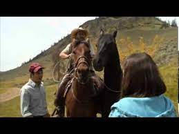 Flicka Horse Movies Horses Favorite Movies
