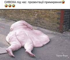 Зеленський оновив склад РНБО - Цензор.НЕТ 6781