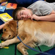 Therapet Is A 501 C 3 Nonprofit Organization In Tyler Tx That Provides Animal Assisted Therapy And Animal Assisted Activities Pet Wellness Therapy Animals