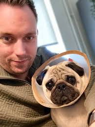 Diego the dinosaur costume with articulated tail