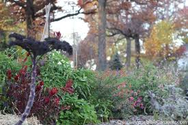 Maybe you would like to learn more about one of these? Creative Vegetable Gardener Prepare Your Vegetable Garden For Winter 6 Tasks For Your To Do List Creative Vegetable Gardener