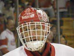 Detroit red wings goaltender dominik hasek trips minnesota wild forward marian gaborik on december 7, 2007. Dominik Hasek Wikipedia