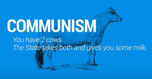 Two Cows Explain Economics Better Than Any Class Cow Economics History Teachers