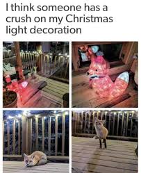 Boat decorations for boat parades meme facebook. Awwwww Mimicnews