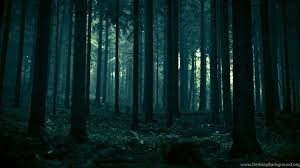 Dark Forest Wallpapers G3s1175 Picserio Com Free for commercial use no attribution required high quality images. dark forest wallpapers g3s1175