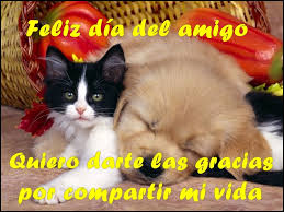 Los chistes es una buena herramienta para despertar el buen humor y la risa en los niños. Imagenes Con Frases Cortas De Feliz Dia Del Amigo Con Animalitos Para El 20 De Julio