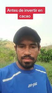 Consejos para Comprar en Viveros Certificados de Cacao