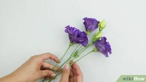 Hold bunch flowers upside down : 5 Ways To Dry Flowers Wikihow