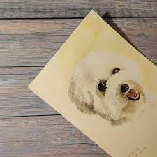 instagram 上的瑪露可生活maruko life 親戚養的狗狗 很活潑 很可愛 illustration painting drawing watercolor dog 插畫 水彩 手繪 狗 イラストレーション 犬 animals teddy watercolor