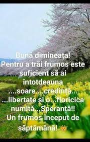 Imagini Buni Dimineata Si O Zi Frumoasa Pentru Tine Bunadimineataimagini Ro Bună Dimineața