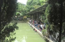 Kedai Pancing Kolam Lomba Harian Ada Meeting Room Karaokenya Kabar Mancing