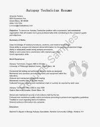 Quality control resume examples & samples. Quality Control Technician Resume Example