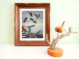 10 Inconceivable Drawing Animals In The Zoo Ideas Bird Drawings Art Prints Animal Wall Art