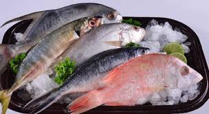 Di semenanjung malaysia, kebanyakan ikan yu ditangkap menggunakan peralatan komersil utama iaitu pukat tunda. 10 Jenis Ikan Laut Paling Enak Jika Diolah Menjadi Ikan Bakar 1 Ikan Bakar Ikan Resep Masakan