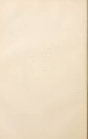 Image result for Synandrodaphne paradoxa