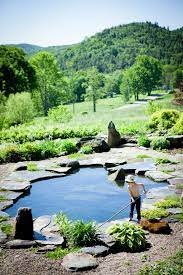 Natural Swimming Pool Project Page Water House Pools Swimming Pool Pond Backyard Pool Swimming Pond