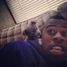 Andre McCloud (andremccloud)