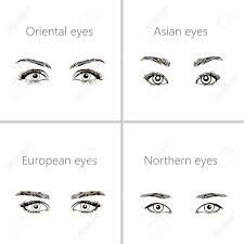 Set Of Eyes Shapes Various Types Of Woman Eyes