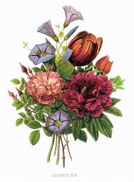 Pin By Allya Syahirah On Floral Border Botanical Art Prints Botanical Art Vintage Botanical Prints