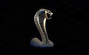 Ford Mustang Shelby Cobra Gt 500 Hd Vehicles Ford Mustang Gt Cobra Shelby 500 1080p Wallpaper H Mustang Logo Ford Mustang Shelby Cobra Mustang Shelby