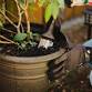 Composting event image