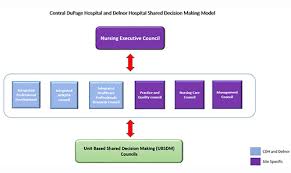 Delnor Hospital Shared Leadership And Decision Making