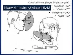 Visual Field Chart Interpretation Www Bedowntowndaytona Com