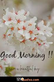 You may want good morning romantic red rose flower images, pictures, and photos for whatsapp status, and whatsapp dp. 200 Beautiful Good Morning Images Latest Update