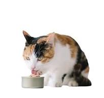 Find Similar Icon High Quality OEM/ODM Pet Cat Food Canned Chicken and Tuna  Blend Safely and Naturally.