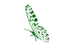 Find gifs with the latest and newest hashtags! Transparent Butterfly Gif Gifs Tenor