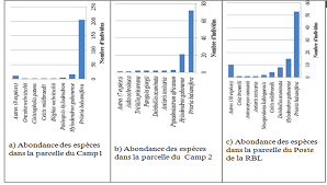 Image result for Antrocaryon nannanii