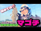 どくM
