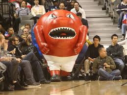 Boston celtics hats, beanies, snapbacks and more at the official online store of the celtics. 2012 13 Nba Mascot Preview Rating The Fake Animals Of The East Sbnation Com