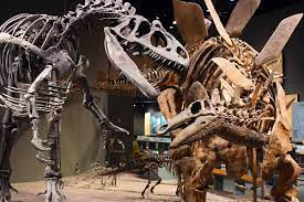 Free Day At Denver Museum Of Nature Science On April 25 Get Your Tickets Now Mile High On The Cheap