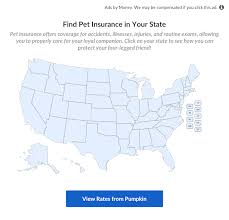 From insurance to lost pet services, we're by your side 24/7. 13 Best Pet Insurance Companies Of August 2021