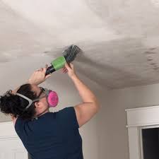 How To Remove Popcorn Ceilings For Repainting Wagner Spraytech