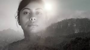 Pablo Calvillo (@pablo.calvillo.anima) • Instagram photos and videos