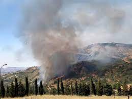 Jun 16, 2021 · covid oggi sicilia, 168 contagi e 8 morti. Palermo Incendio Sulla Montagna Di Petralia Sottana Fiamme Alimentate Dallo Scirocco La Repubblica