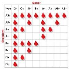 What Is O Rhd Positive Blood Quora