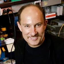 An obesity-associated gut microbio ...