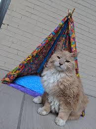 Information, products and services for your patio and garden. Arthur On The Patio Album On Imgur