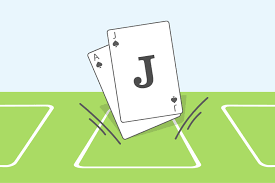 Players can double down on any two cards. Blackjack Double Down