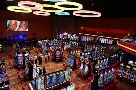Dania Casino Opens Slots Jai Alai And More South Florida