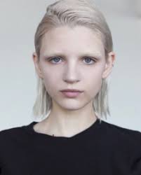 Modeling Mentor Blog