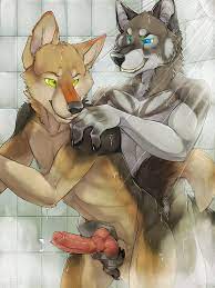FurryBooru - anal balls canine canine penis coyote cum dog-bone gay handjob  knot male penis reach around shower wolf | 300996