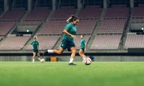 The campeonato brasileiro de futebol feminino (brazilian women's national championship) is an annual brazilian women's club football tournament organized by the confederação brasileira de futebol, or cbf. Uv7rxpsdvdmrfm