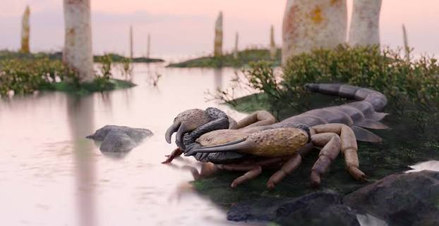 World's largest scorpion revealed by 415-million-year-old fossils | Natural  History Museum