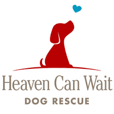 We are dedicated to helping reduce the population of unwanted pets. Hcwdogrescue Com